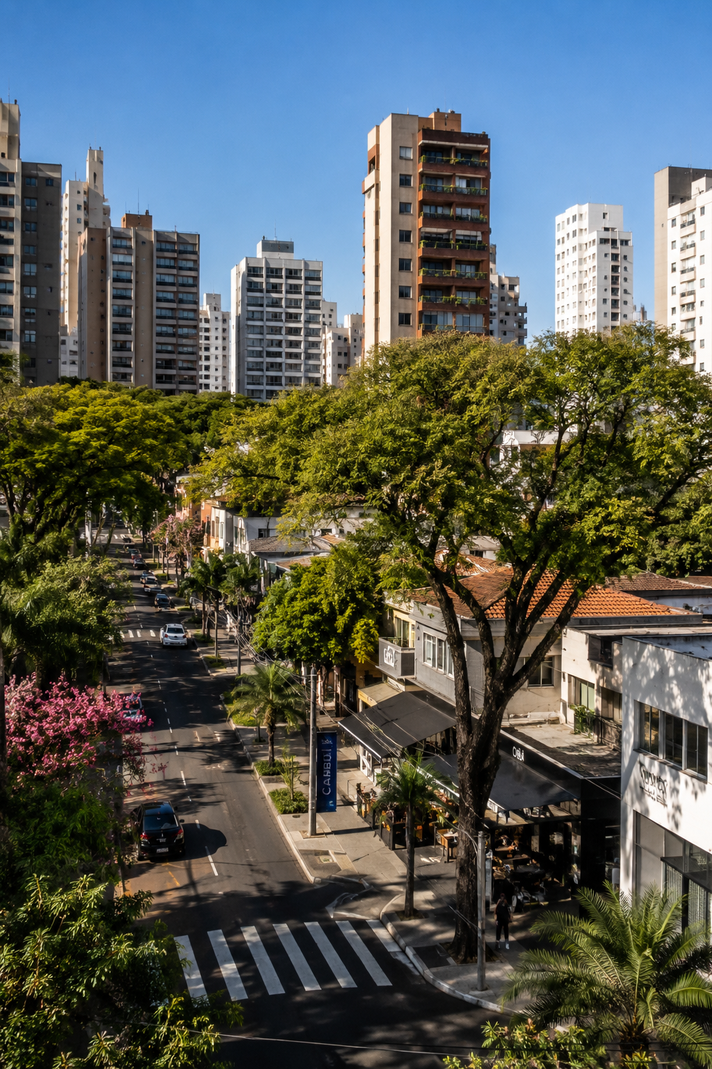 Rua arborizada do bairro Cambuí, Campinas, com cafés e boutiques